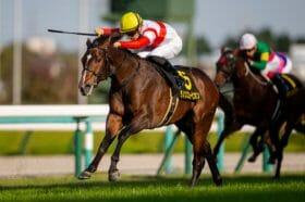 JRA「これは凄すぎ！」2歳戦達人の展開予想！朝日杯FSはナリタブライアン級鉄板本命馬とグレナディアガーズ級人気薄穴馬で高配当!?