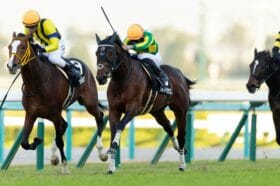 JRAホープフルS、王者ルメール絶不調でコマンドラインも赤信号点滅？武豊アスクワイルドモアで記録達成の可能性を検証する…