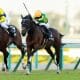 JRAオジュウチョウサン、来年はエフフォーリアらとガチンコ勝負!? “感涙”中山大障害（G1）復活Vで「現役賞金王」へ