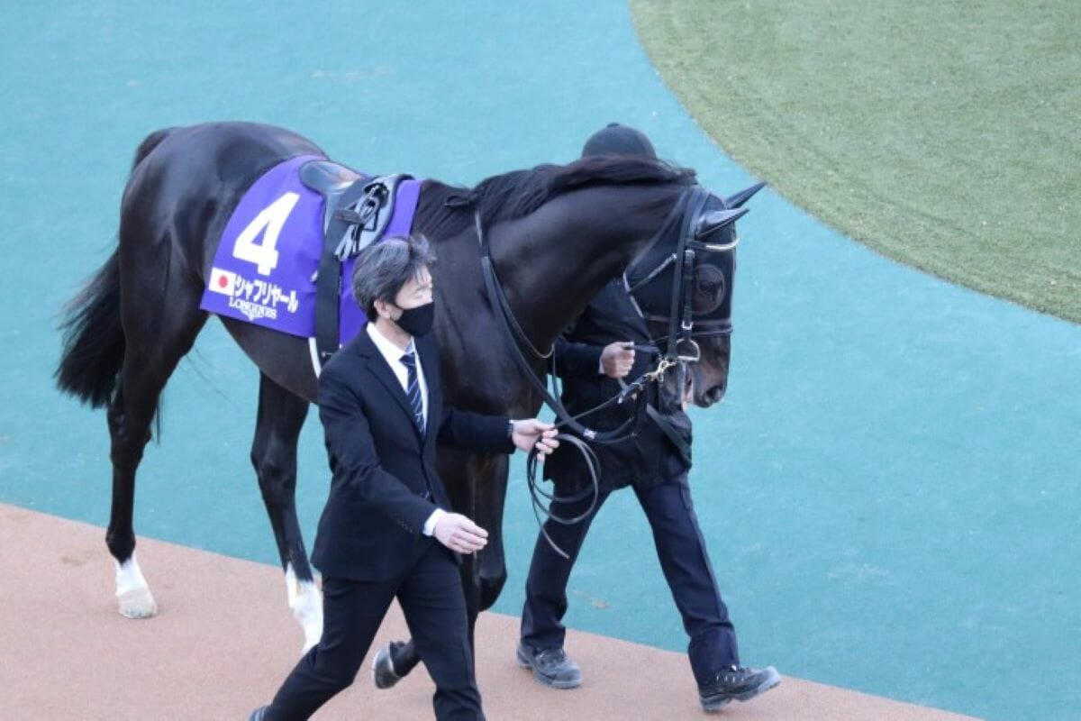 ドウデュース不在のジャパンC（G1）「日本総大将」背負う先輩ダービー馬に募る不安の画像1