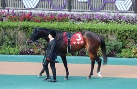 1着が皐月賞馬ジオグリフ、3着が菊花賞馬アスクビクターモア…2頭を生んだ伝説の新馬戦「2着馬」の今