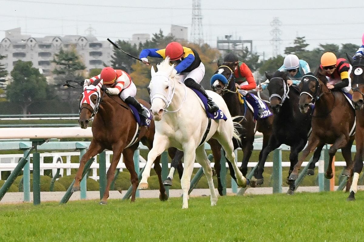 JRA「本当の被害者」が演出した大波乱！ 岩田康誠「幅寄せ事件」から