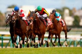 JRA 高松宮記念（G1）。グレナディアガーズ、サリオス、レシステンシアに共倒れの現実的理由。まさかの大波乱を演出する意外な“馬”とは!?