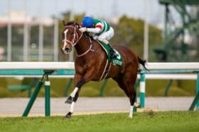 JRA 高松宮記念・グレナディアガーズ鞍上の福永祐一が恐れる大先輩が勝利の条件を語る。覚えておくべき穴馬候補3頭の実名公開！