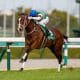 JRA大阪杯。年度代表馬エフフォーリアを襲う父エピファネイアの呪い…。最強伝説に立ちふさがる壁とは?