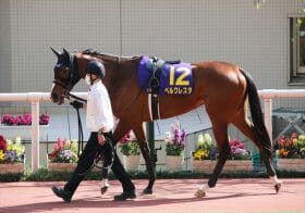 JRAオークス（G1）サークルオブライフと「クビ差」の実力馬が伏兵候補!?「死枠」に泣いた仁川で見せた大器の片鱗…得意の左回りで逆襲必至！