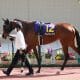 JRA「牝馬の福永祐一」はもはや死語!? M.デムーロでも戸崎圭太でも池添謙一でもない、オークス(G1)で狙うべきは“あのジョッキー”