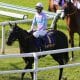 【北九州記念(G3)予想】ナムラクレア・アネゴハダは余裕の切り!前走データから拾った「走り頃」の穴馬で10万馬券を狙う!
