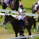 JRA「ドラ1候補」は武豊で今週末デビュー！ POGファン注目の2歳戦…ディープインパクトのラストクロップ他、総勢13頭をピックアップ