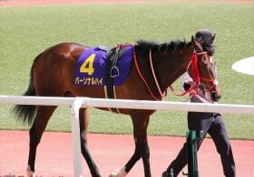 過去にはレイパパレやジェラルディーナが涙、「幻の秋華賞馬」が今年も誕生!?