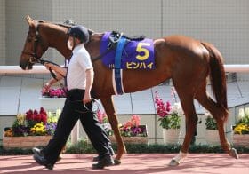 JRAオークス（G1）2400mは無謀の「常識」覆した55万馬券から11年、今年の挑戦者はサークルオブライフやウォーターナビレラに先着