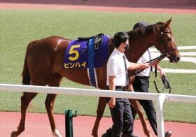 武豊「クラシック好走」の実力牝馬と新コンビ結成！ 最多勝利新人騎手にも輝いた「かつてのホープ」が2度目の降板に