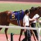 デアリングタクトは思い切って軽視、ハイレベル3歳より狙いたい特注馬を発見【エリザベス女王杯(G1)予想】