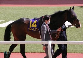 関屋記念（G3）「直前」現場生情報！C.ルメール×プレサージュリフトに不安要素!? 苦手な夏の出走に理由が…