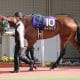 「引退宣言」の一流騎手が危機一髪!恩師に捧げる初勝利で最悪の事態を回避