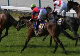 「第3の女」から恋人に返り咲き!? サークルオブライフ離脱で急浮上も…頼みの綱は重賞「32連敗」のどん底