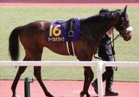 【紫苑S（G3）展望】オークス1番人気サークルオブライフVS 2着馬スタニングローズ！ お騒がせの「あの馬」も名誉挽回へ出陣！