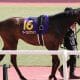 JRAオークス(G1)今週も続く「前残り警報」はノーマーク厳禁! 18番人気でも残れた超スローの元凶…「消極騎乗」不可避で絶対に狙いたいアノ馬