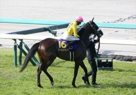 JRA 2歳女王サークルオブライフ「調整ミス」完敗で秋全休も!?「上がってきた感じない」調教師が酷評……牧場からは謝罪コメントも