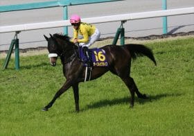 JRAオークス（G1）はサークルオブライフ＆M.デムーロが勝つ！ 勝利を後押しする4つの圧倒的要素とは？