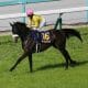 JRA「23年で1番良い馬」オグリキャップになれなかった日本ダービー(G1)1番人気。「上手く乗れなかった」強過ぎたからこそ動けなかったM.デムーロの慢心と後悔