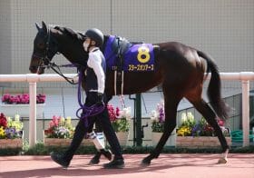 ヴィクトリアマイル（G1）はスターズオンアースで鉄板!? フェブラリーSから続く7連続G1「〇〇馬勝利」の法則