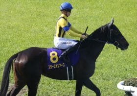 スターズオンアース三冠達成に決定打!? 6頭中5頭に当てはまる約束された未来