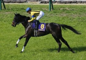 C.ルメール「2400mの馬」もヴィクトリアマイル参戦表明！惜敗続くスターズオンアースの選択は迷走か名采配か