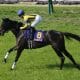 ドウデュース不在のジャパンC(G1)「日本総大将」背負う先輩ダービー馬に募る不安