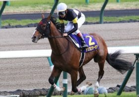 セントライト記念（G2）アスクビクターモアに「5戦5勝」追い風!? 春から激変した秋競馬の「トレンド」に呆然…