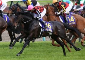 ドゥラメンテ近親の「元クラシック候補」が反撃の狼煙！ダートのレコードホルダーが芝重賞に再挑戦