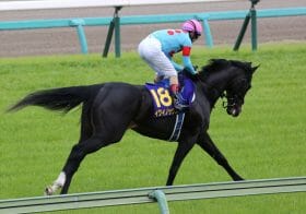 イクイノックス、有馬記念挑戦を示唆する「＋4kg」は完全体の証。「似てない」父キタサンブラックから受け継いだものとは