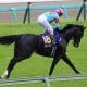 宝塚記念(G1)団野大成「謎降板」に関西若手のエースが関係!? 武豊の不可解な登場と突然のフリー発表…関係者を激怒させた「素行不良」の舞台裏