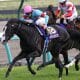 JRA「生まれた時代が悪かった」獲得賞金“3億円”の差に啞然…日本ダービー(G1)史上「最も運の悪い馬」は稀代のシルバーコレクター
