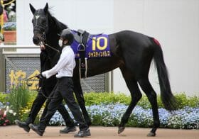 “ホープレス”の危機再び…？神戸新聞杯（G2）に参戦の3頭は意地を見せられるか