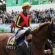 JRA 日本ダービー(G1)競馬ファンなら知っていて当然? 武豊と「キンコンカン」の密接な関係…出会い、絶縁、屈辱を味わった超大物たち
