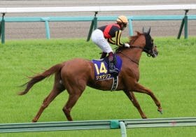 JRA福永祐一「距離こなせる」も不安払拭に暗雲…期待馬に答え合わせの秋、ドレフォン産駒2頭が見せたそれぞれの可能性