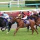 JRA「生まれた時代が悪かった」獲得賞金“3億円”の差に啞然…日本ダービー(G1)史上「最も運の悪い馬」は稀代のシルバーコレクター