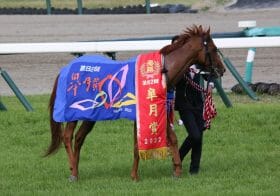 JRA初年度産駒ジオグリフの皐月賞（G1）制覇だけじゃない。新種牡馬ドレフォンと「サンデーサイレンス」の意外な共通点とは