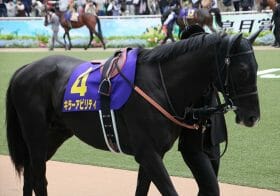 キラーアビリティ「復活」の立役者に蘇る3年前の悪夢…京都記念（G2）で再び訪れた「降板」の危機