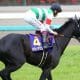 JRA「生まれた時代が悪かった」獲得賞金“3億円”の差に啞然…日本ダービー(G1)史上「最も運の悪い馬」は稀代のシルバーコレクター