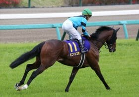 【福島記念（G3）展望】オニャンコポン「次世代のパンサラッサ」に名乗り!?