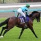 【福島記念(G3)予想】オニャンコポンは「危険な人気馬」として自信の切り!