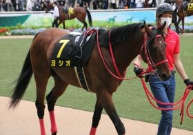 三冠馬対決で「話題独占」が証明した競走馬の価値