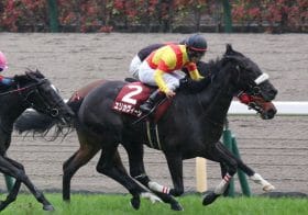 JRA「ウマ娘」藤田晋オーナーだけじゃない！ オークスにエリカヴィータ、ダービーにも2頭出し目前…注目の「新興馬主」にダートの大物候補誕生!?