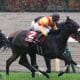 JRAオークス(G1)「負け組脱出」の第一歩は悩むより迅速な決断…川田将雅、C.ルメールが乗り替わり、「万馬券」の決め手は常識にとらわれないこと