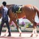 JRA「牝馬の福永祐一」はもはや死語!? M.デムーロでも戸崎圭太でも池添謙一でもない、オークス(G1)で狙うべきは“あのジョッキー”
