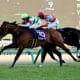 JRA大阪杯(G1)ジャックドールは「歴史的逃げ馬」になれるのか? サイレンススズカ、ツインターボ、メジロパーマー……ターフを沸かせた逃げ馬ベスト10