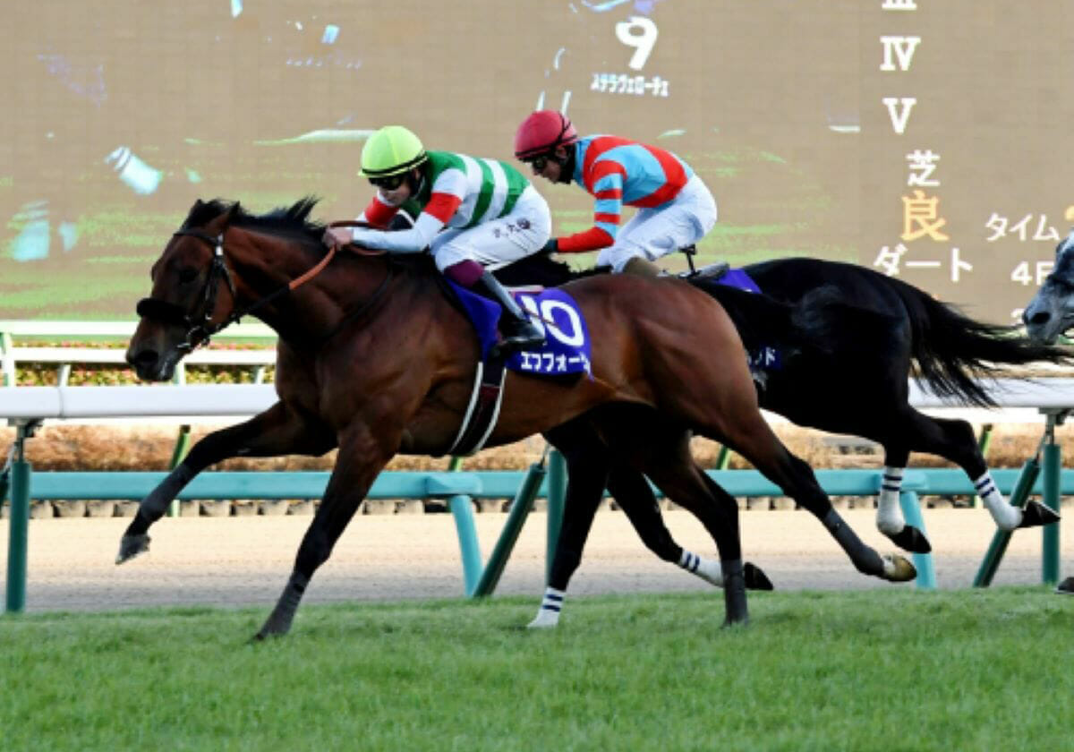 JRA ORIGINAL PAZlE 大阪杯2017 JRA ORIGINAL PAZlE 大阪杯2017