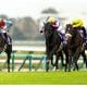 JRA桜花賞（G1）「ヴィブロスみたい」福永祐一も絶賛の大器！ 前走重賞勝ちも「ラスールが出てれば勝ってた」覆したい安藤勝己氏の低評価